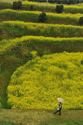 photoclub